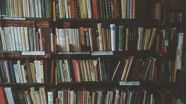 bookcases-1869616_640
